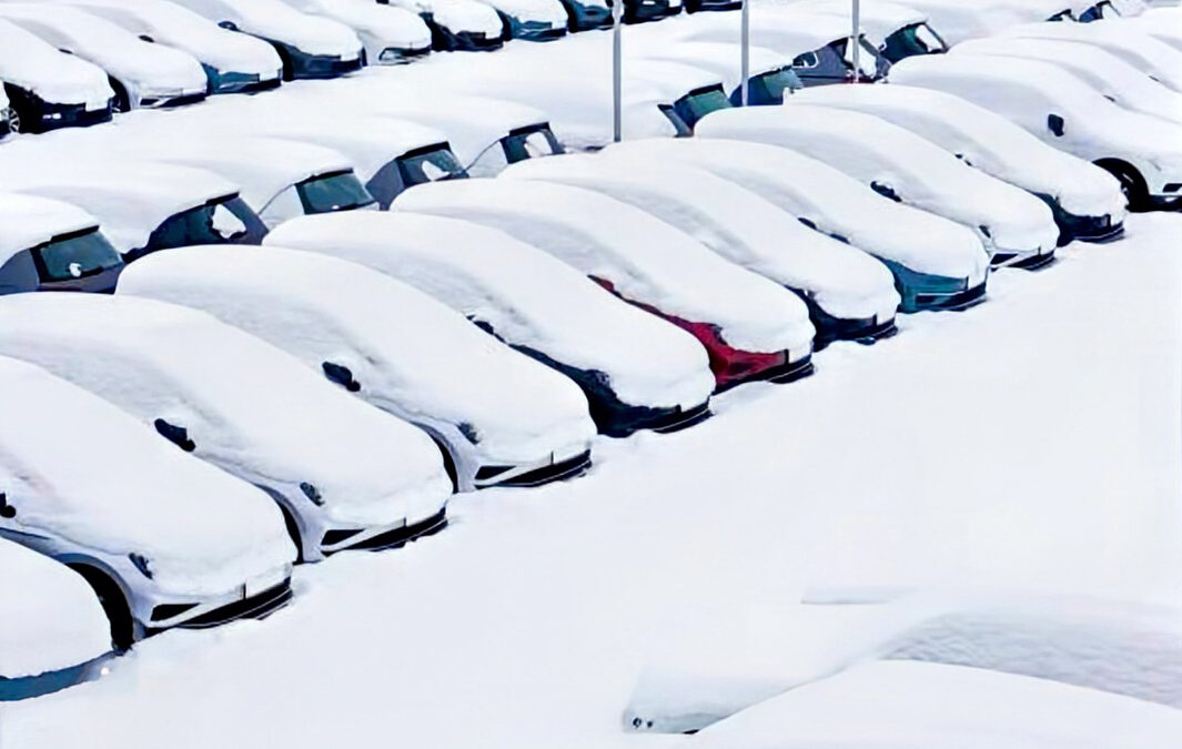 Cars covered in snow on a snowy sales lot