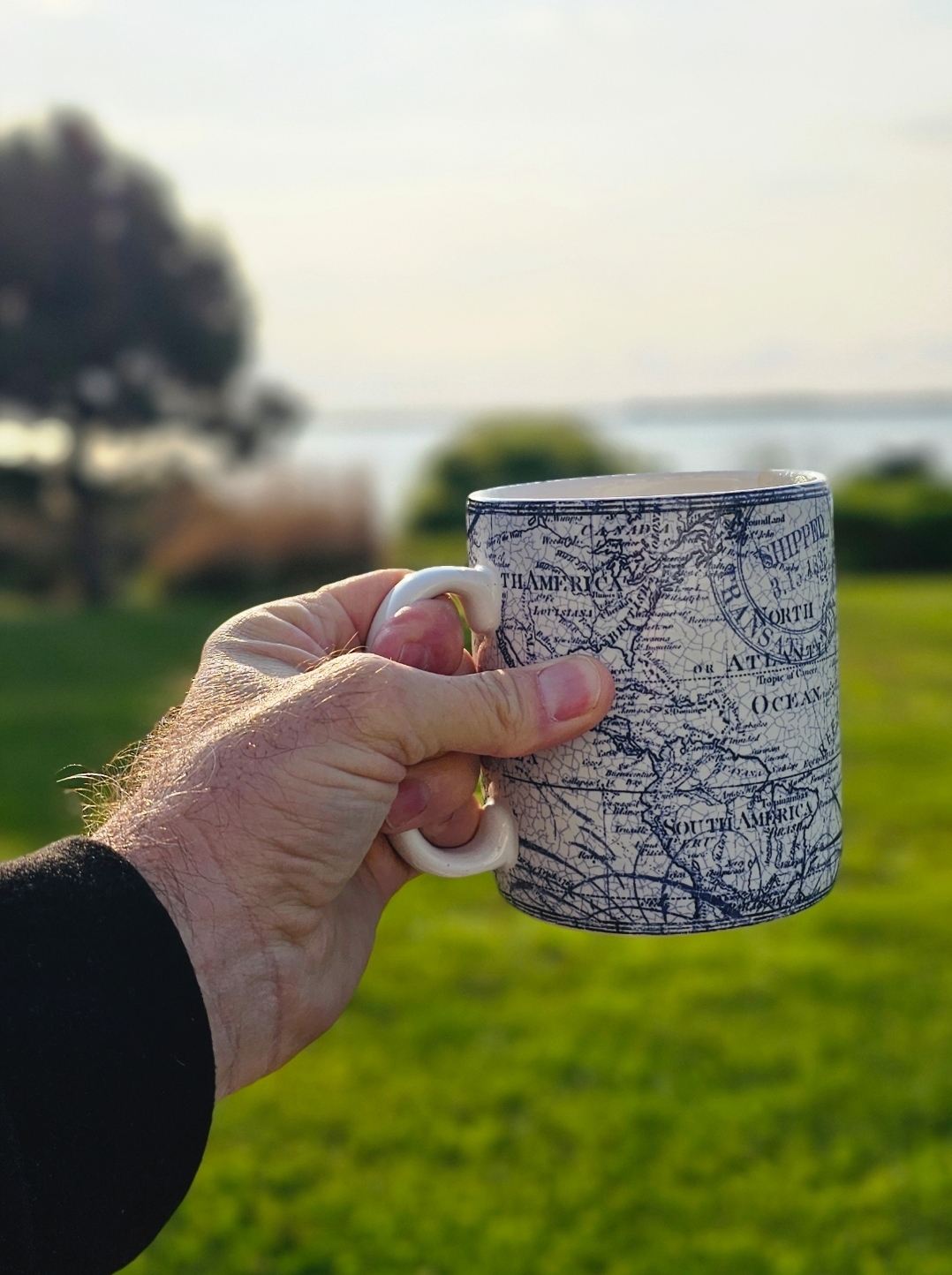 A hand holding up a mug of coffee with trees and a lake in the background